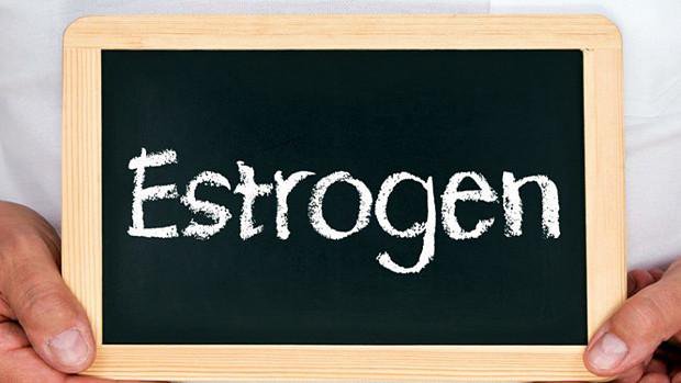Estrogen là gì?